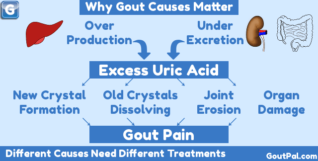 What can cause gout?