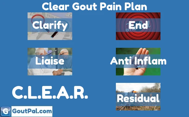 CLEAR Gout Pain Plan