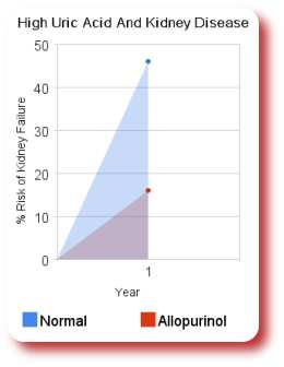 can allopurinol harm your kidneys