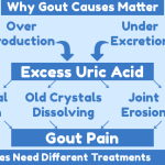 Why do I have Gout?