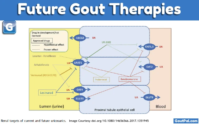 Future Gout Therapies