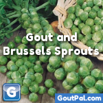 Diet for Gout: Brussels Sprouts and Gout | GoutPal Gout Help