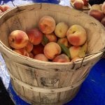Peaches for Gout Sufferers photo