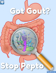 Got Gout? Stop Pepto image