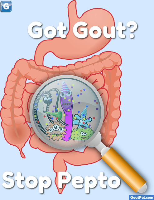 Got Gout? Stop Pepto