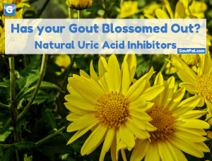 Has Your Gout Blossomed Out?