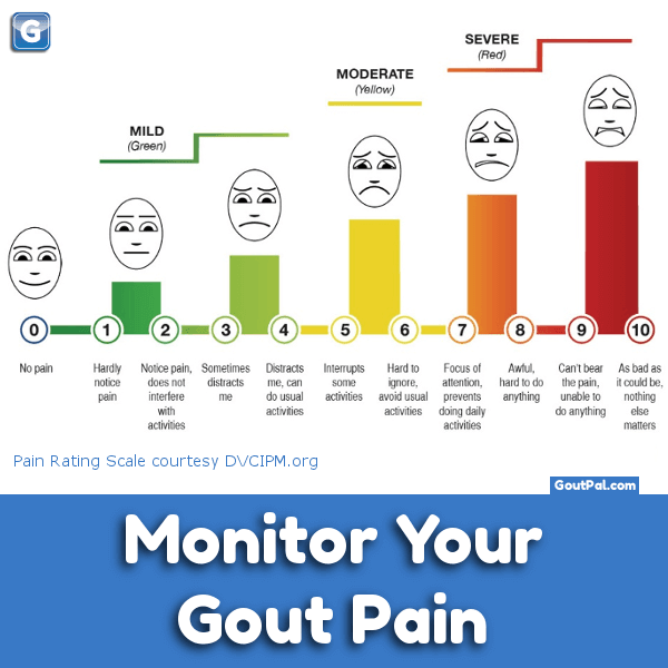 Monitor Your Treatment Of Gout Pain chart