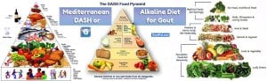 Mediterranean DASH Alkaline Diet for Gout media