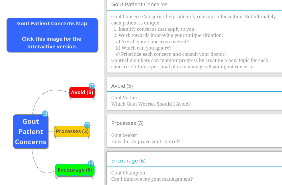 Gout Patient Concerns Map with notes